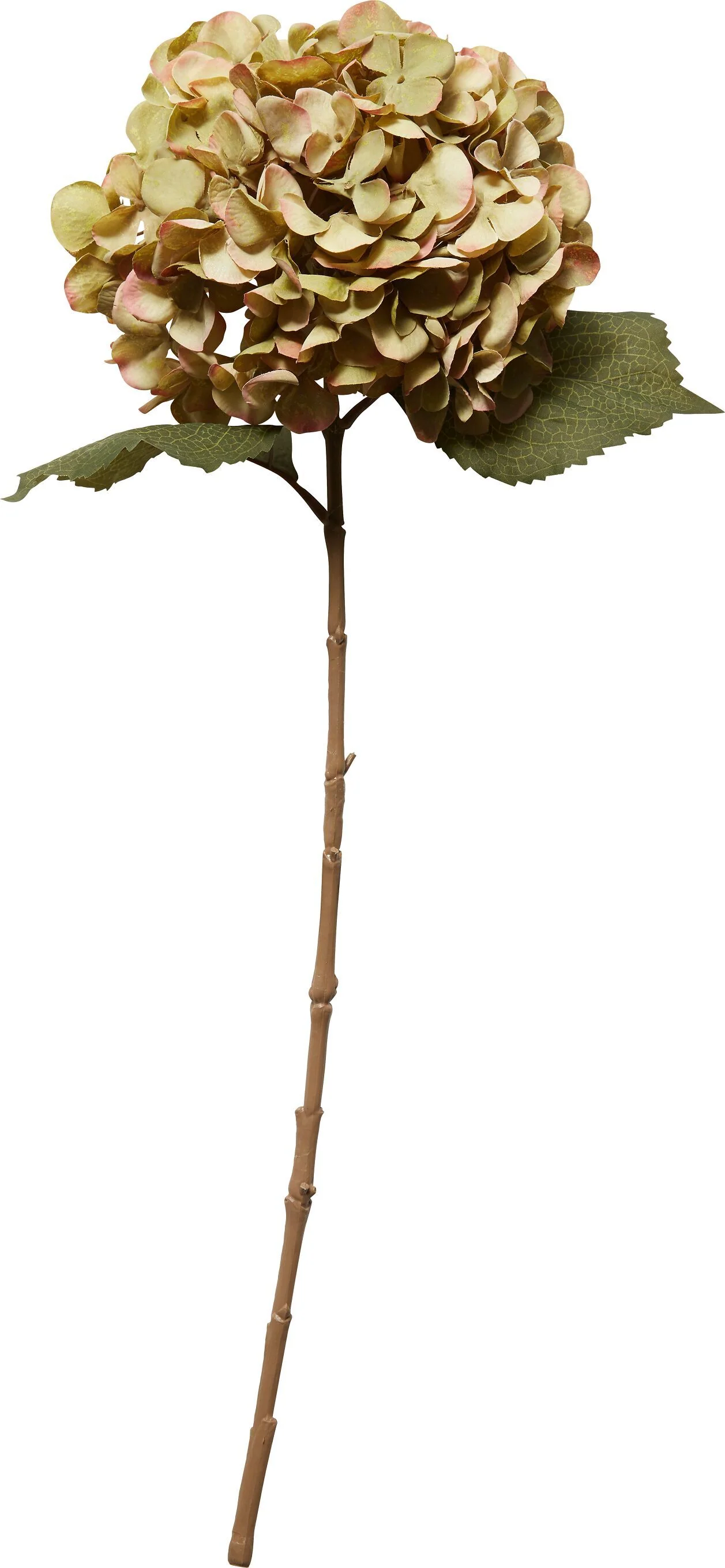Vorschaubild 8