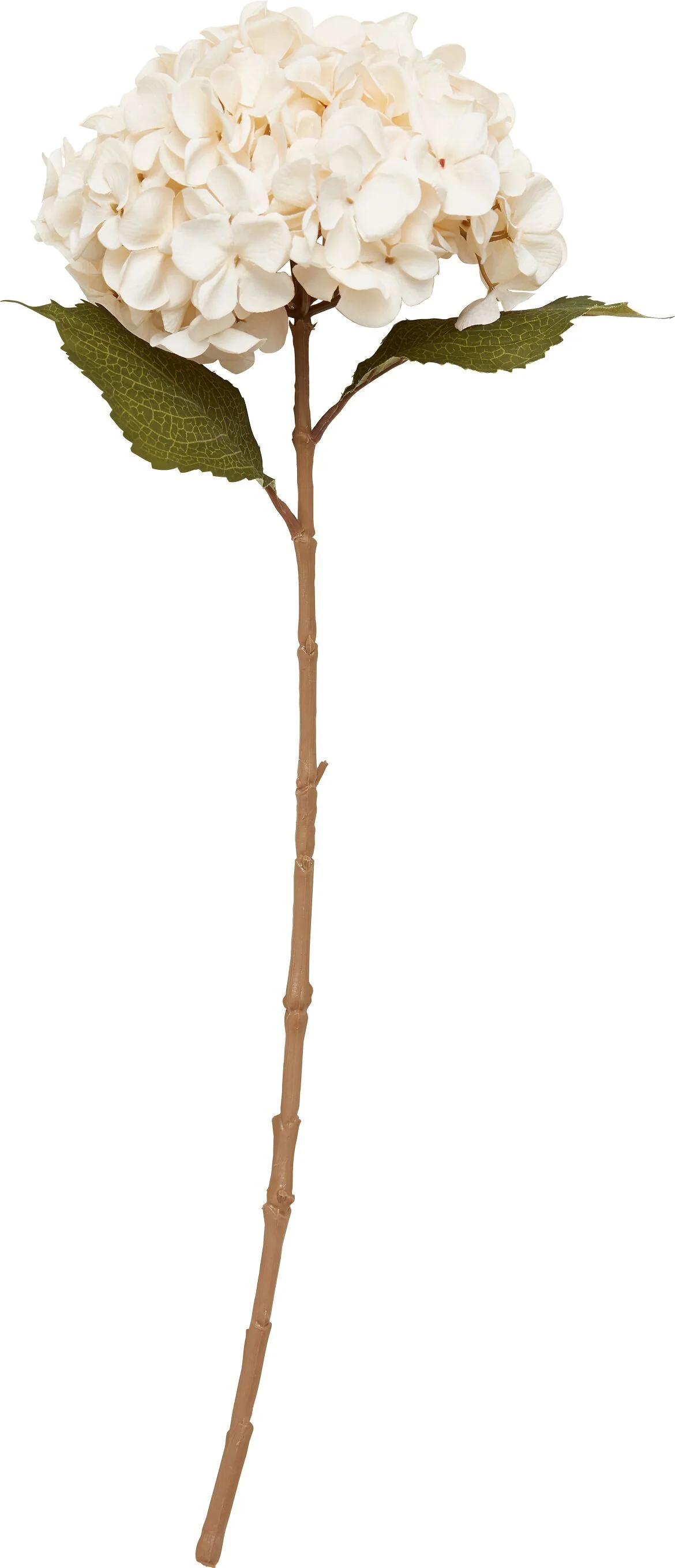 Vorschaubild 7
