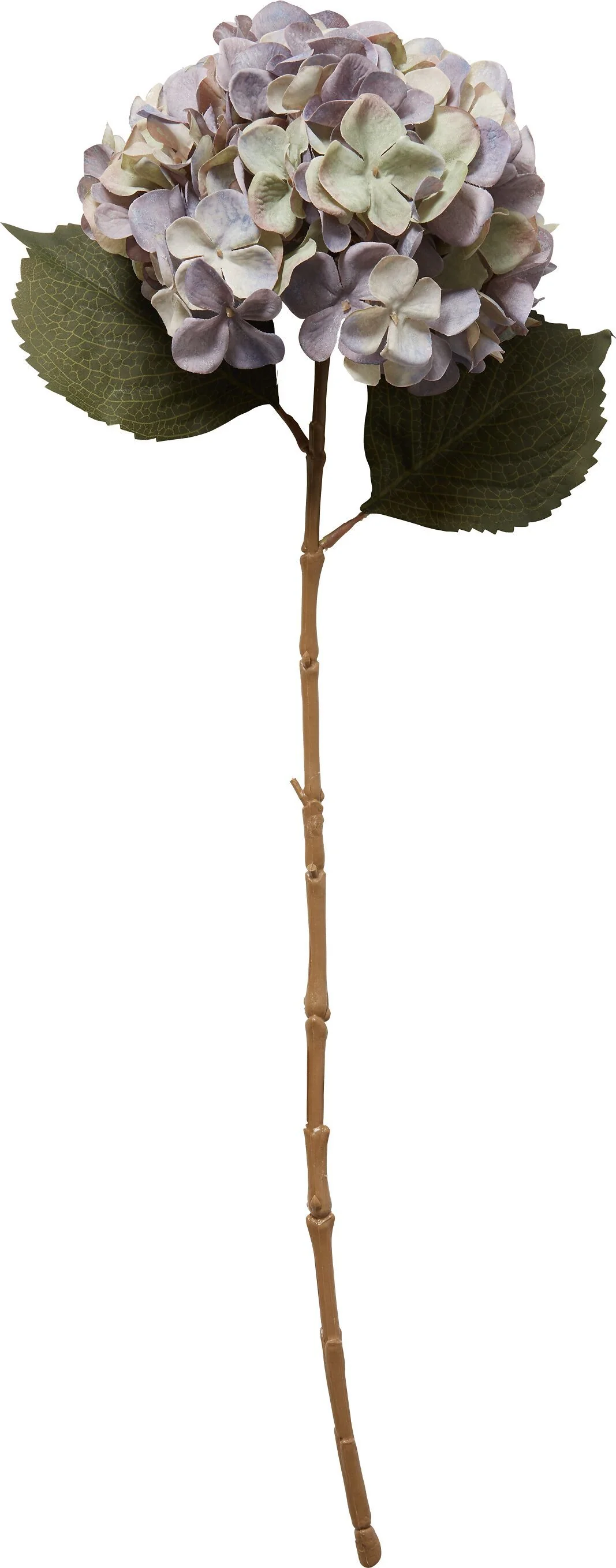 Vorschaubild 8