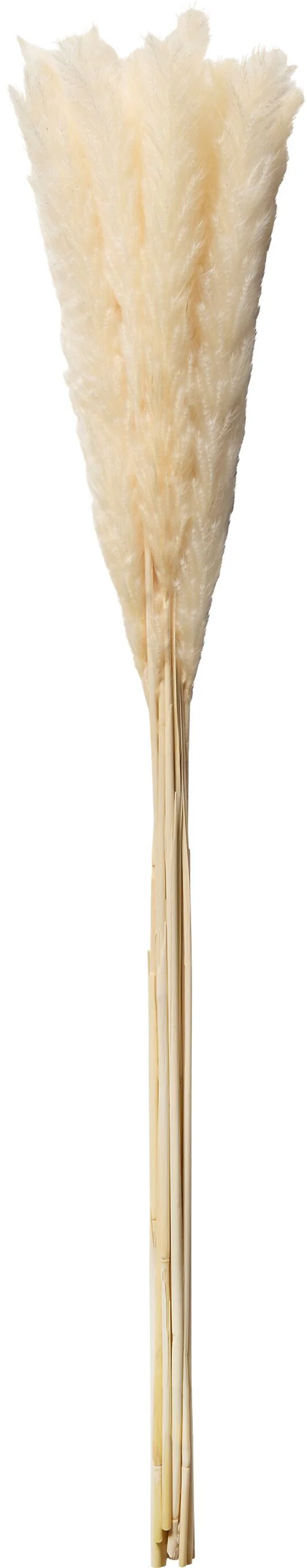 Vorschaubild 5